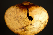Sculpture for Sale - Ultra Gloss Fine Line Spalted Dogwood Hollow Form, 419
